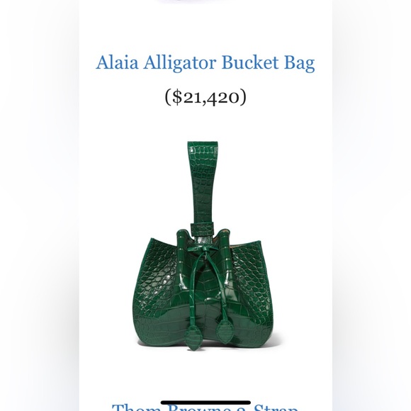 Azzedine Alaia Alligator rose Marie bag - Picture 6 of 14